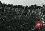 Image La récolte agricole aux Etats-Unis au cours d Seconde Guerre Mondiale United States USA, 1942, de la seconde 7 séquences d'archives historiques vidéo 65675034628