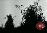 Image La récolte agricole aux Etats-Unis au cours d Seconde Guerre Mondiale United States USA, 1942, de la seconde 9 séquences d'archives historiques vidéo 65675034628
