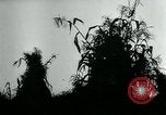 Image La récolte agricole aux Etats-Unis au cours d Seconde Guerre Mondiale United States USA, 1942, de la seconde 10 séquences d'archives historiques vidéo 65675034628