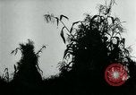 Image La récolte agricole aux Etats-Unis au cours d Seconde Guerre Mondiale United States USA, 1942, de la seconde 11 séquences d'archives historiques vidéo 65675034628
