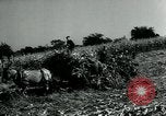 Image La récolte agricole aux Etats-Unis au cours d Seconde Guerre Mondiale United States USA, 1942, de la seconde 18 séquences d'archives historiques vidéo 65675034628