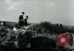 Image La récolte agricole aux Etats-Unis au cours d Seconde Guerre Mondiale United States USA, 1942, de la seconde 19 séquences d'archives historiques vidéo 65675034628