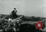 Image La récolte agricole aux Etats-Unis au cours d Seconde Guerre Mondiale United States USA, 1942, de la seconde 20 séquences d'archives historiques vidéo 65675034628