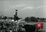 Image La récolte agricole aux Etats-Unis au cours d Seconde Guerre Mondiale United States USA, 1942, de la seconde 22 séquences d'archives historiques vidéo 65675034628