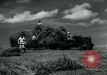 Image La récolte agricole aux Etats-Unis au cours d Seconde Guerre Mondiale United States USA, 1942, de la seconde 33 séquences d'archives historiques vidéo 65675034628