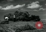 Image La récolte agricole aux Etats-Unis au cours d Seconde Guerre Mondiale United States USA, 1942, de la seconde 35 séquences d'archives historiques vidéo 65675034628
