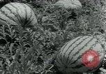 Image La récolte agricole aux Etats-Unis au cours d Seconde Guerre Mondiale United States USA, 1942, de la seconde 41 séquences d'archives historiques vidéo 65675034628