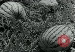 Image La récolte agricole aux Etats-Unis au cours d Seconde Guerre Mondiale United States USA, 1942, de la seconde 42 séquences d'archives historiques vidéo 65675034628