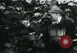 Image La récolte agricole aux Etats-Unis au cours d Seconde Guerre Mondiale United States USA, 1942, de la seconde 46 séquences d'archives historiques vidéo 65675034628