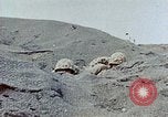Image des Marines des États-Unis Iwo Jima, 1945, de la seconde 29 séquences d'archives historiques vidéo 65675034631