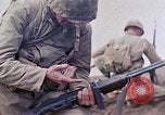 Image Marines Iwo Jima, 1945, de la seconde 26 séquences d'archives historiques vidéo 65675034634