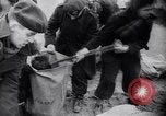 Image l'ouragan l'Europe, 1953, de la seconde 34 séquences d'archives historiques vidéo 65675034635