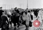 Image of floods Holland Netherlands, 1953, second 38 stock footage video 65675034638