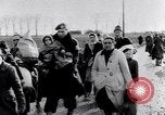 Image of floods Holland Netherlands, 1953, second 39 stock footage video 65675034638