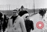 Image of floods Holland Netherlands, 1953, second 41 stock footage video 65675034638