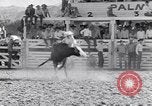 Standbild Palm Springs Rodeo California United States USA, 1953, aus Sekunde 8 historischem Filmmaterial Videoclip 65675034644