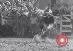 Standbild Palm Springs Rodeo California United States USA, 1953, aus Sekunde 18 historischem Filmmaterial Videoclip 65675034644