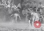 Standbild Palm Springs Rodeo California United States USA, 1953, aus Sekunde 23 historischem Filmmaterial Videoclip 65675034644