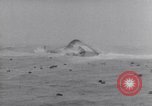 Immagine di Kurt Carlsen Regno Unito, 1952, secondo 19 filmato di repertorio 65675034657