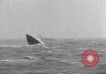 Immagine di Kurt Carlsen Regno Unito, 1952, secondo 38 filmato di repertorio 65675034657