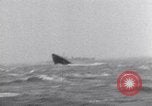 Immagine di Kurt Carlsen Regno Unito, 1952, secondo 42 filmato di repertorio 65675034657