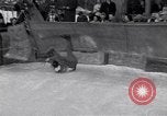 Image of World Barrel Jumping Contest on ice Liberty New York USA, 1952, second 56 stock footage video 65675034662