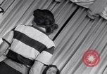 Image of models New York United States USA, 1951, second 30 stock footage video 65675034666