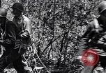 Immagine di La fanteria 563rd United States USA, 1942, secondo 26 filmato di repertorio 65675034670