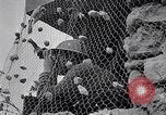 Image of British repel German aerial attack in Malta Malta, 1942, second 14 stock footage video 65675034674