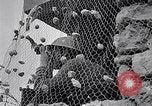 Image of British repel German aerial attack in Malta Malta, 1942, second 16 stock footage video 65675034674