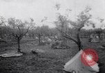 Image of French troops Italy, 1942, second 5 stock footage video 65675034677