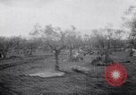 Image of French troops Italy, 1942, second 6 stock footage video 65675034677