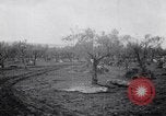 Image of French troops Italy, 1942, second 7 stock footage video 65675034677