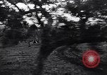 Image of French troops Italy, 1942, second 9 stock footage video 65675034677
