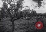 Image of French troops Italy, 1942, second 10 stock footage video 65675034677