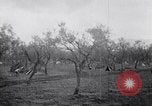 Image of French troops Italy, 1942, second 12 stock footage video 65675034677