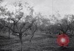 Image of French troops Italy, 1942, second 13 stock footage video 65675034677