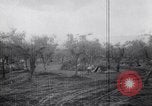 Image of French troops Italy, 1942, second 15 stock footage video 65675034677