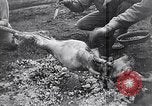 Image of French troops Italy, 1942, second 25 stock footage video 65675034677