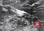 Image of French troops Italy, 1942, second 26 stock footage video 65675034677