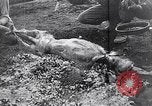 Image of French troops Italy, 1942, second 28 stock footage video 65675034677