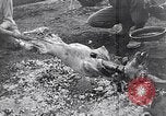 Image of French troops Italy, 1942, second 29 stock footage video 65675034677
