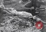 Image of French troops Italy, 1942, second 30 stock footage video 65675034677