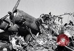 Image of Crashed B-17 42-37789 England United Kingdom, 1944, second 22 stock footage video 65675034678