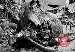 Image of Crashed B-17 42-37789 England United Kingdom, 1944, second 41 stock footage video 65675034678
