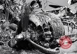 Image of Crashed B-17 42-37789 England United Kingdom, 1944, second 43 stock footage video 65675034678