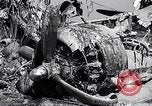 Image of Crashed B-17 42-37789 England United Kingdom, 1944, second 44 stock footage video 65675034678