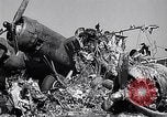 Image of Crashed B-17 42-37789 England United Kingdom, 1944, second 59 stock footage video 65675034678
