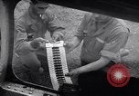 Image of B-26B Marauder aircraft Tunisia North Africa, 1943, second 48 stock footage video 65675034689