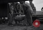 Image of B-26 bomber aircraft being armed Tunisia North Africa, 1943, second 36 stock footage video 65675034693